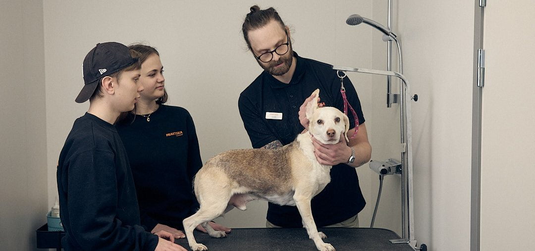 Elever och lärare på naturbruksprogrammet som undersöker en hund
