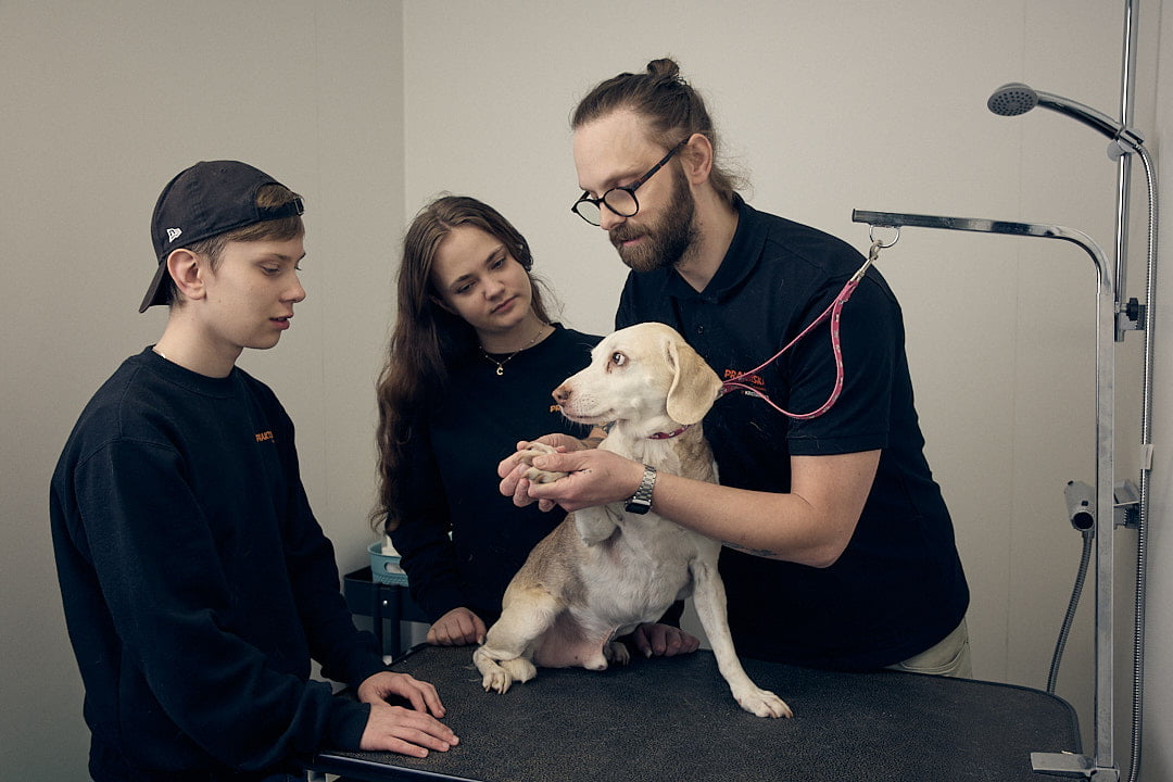 Elever och lärare på naturbruk som undersöker en hund.